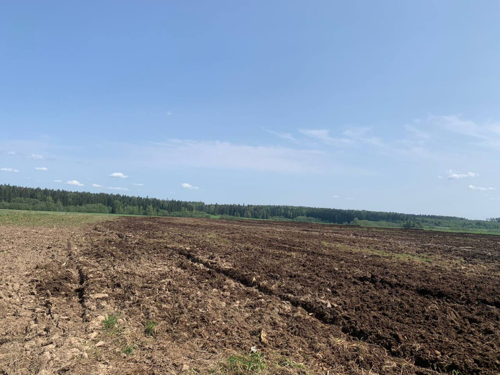 В зловонном плену: запах навоза сильно досаждает жителям Филатово |  29.05.2023 | Истра - БезФормата